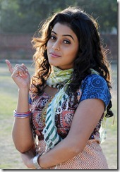 siruvani tamil movie hot photos stills images pics gallery telugu movie hero actress latest new hot photos stills images pics gallery