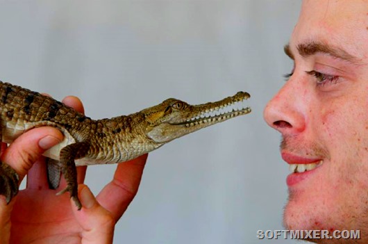 croc2-RS croc2-RS