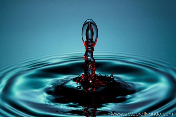 liquid-drop-art-gotas-caindo-foto-velocidade-hora-certa-desbaratinando (77) liquid-drop-art-gotas-caindo-foto-velocidade-hora-certa-desbaratinando (77)