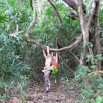 IMG_0749.JPG