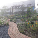 朝霧の庭