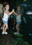 DSCN4014.JPG