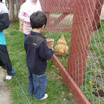 P1090630.JPG