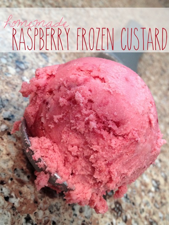 Raspberry Frozen Custard Raspberry Frozen Custard