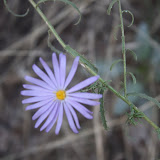 IMG_8566.JPG
