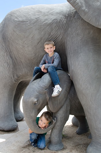[zoo-33%255B9%255D.jpg]