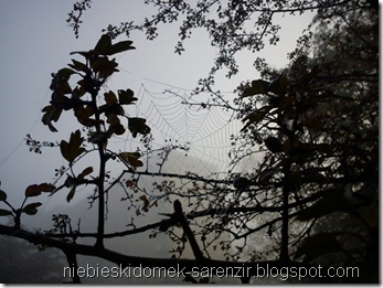 DSC00423m DSC00423m