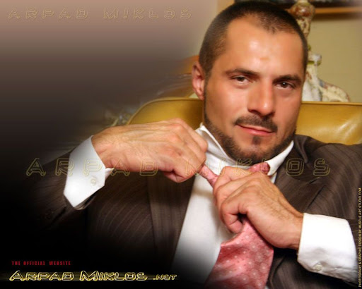 w1ArpadMiklos800.jpg