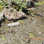 DSCN9543.JPG