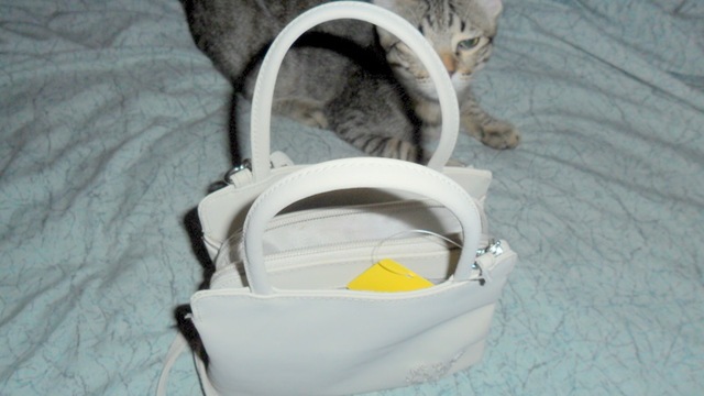 [Pebbles--showing--how-small-purse-is%255B3%255D.jpg]