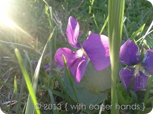 IMG_20120329_184511