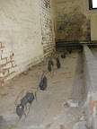 WAK 2011: Foto