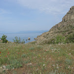 IMG_3041.JPG