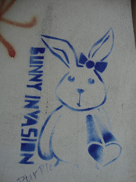 [bunny%255B4%255D.jpg]