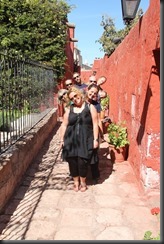 IMG_5143 IMG_5143