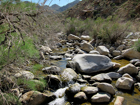 Carrizo Creek was flowing