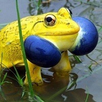 @ 10 curiosidades interessantes que provavelmente você não sabia @ 10 curiosidades interessantes que provavelmente você não sabia