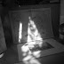 R0029793.JPG