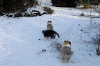 _DSC0049.JPG