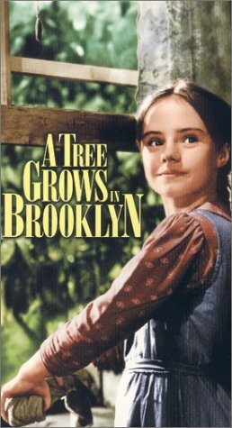 [ATreeGrowsInBrooklyn_91967.jpg]