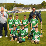 U8Hurling2013