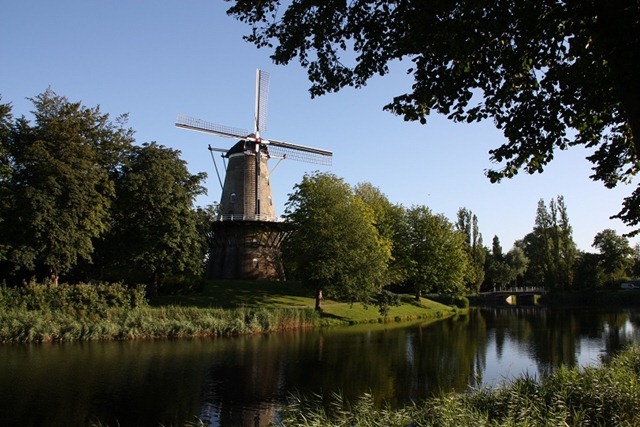 singel singel