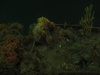 Underwater Observatory
