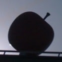 1327721146_3.jpg