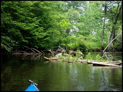 Kayaking the Exeter River 056