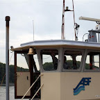 P5232353 (Small).JPG