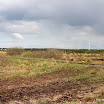 image3.jpg