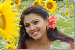 Swetha Swetha