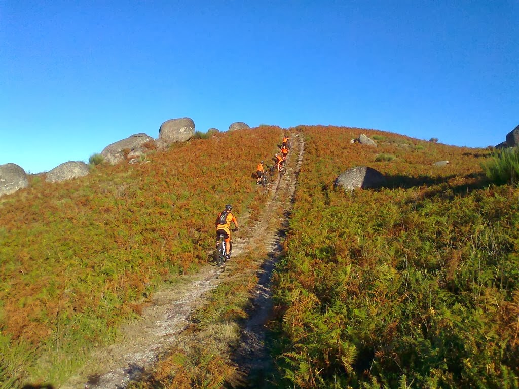 [Fotografia07862.jpg]