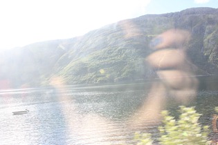 IMG_1973 IMG_1973