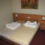 IMG_2775.JPG