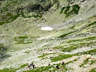 IMG_1363.jpg
