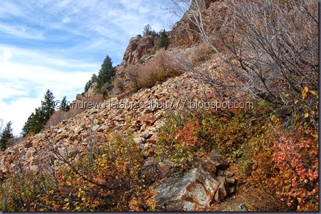DSC_0820 DSC_0820