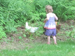 2012 Memorial Day Bella with her chickens5