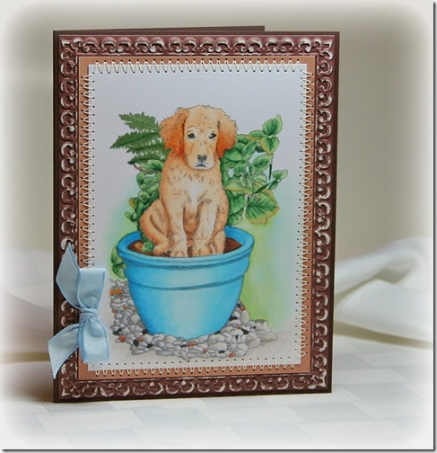 PottedPuppyCardJune2012 PottedPuppyCardJune2012