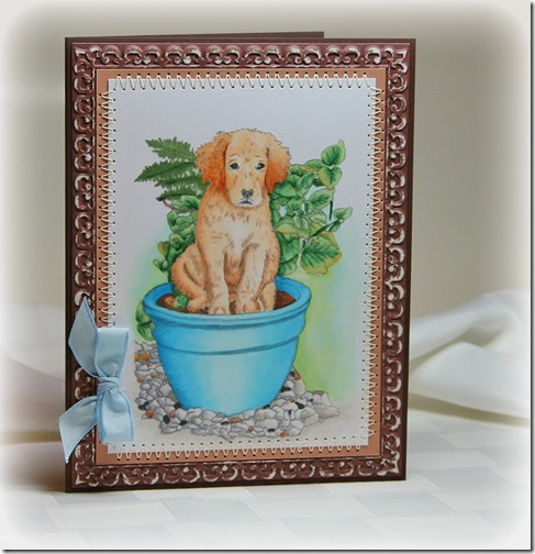 PottedPuppyCardJune2012