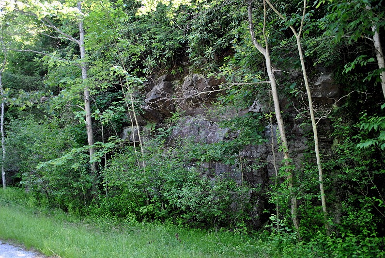 [4---Rock-Gorge-Walls-on-right2.jpg]
