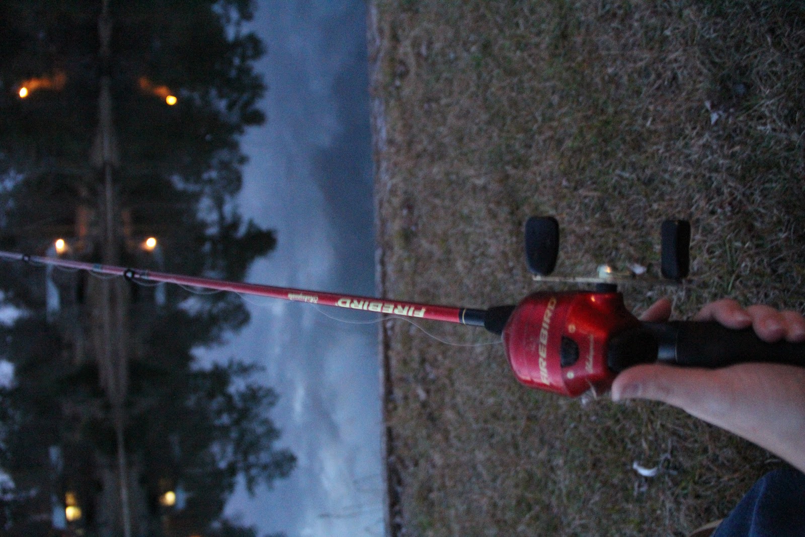 [IMG_1127%255B2%255D.jpg]