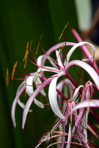 [IMG_9903%255B3%255D.jpg]