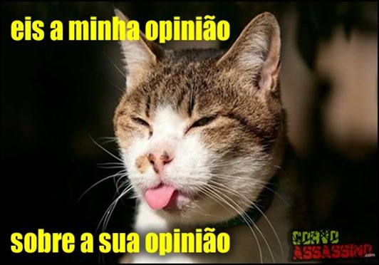 minha-opiniao minha-opiniao