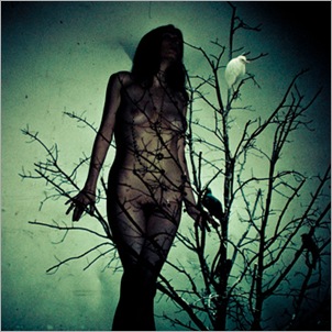 TheAtlasMoth_AAFTD TheAtlasMoth_AAFTD