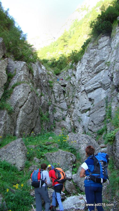 14.jpg 14.jpg