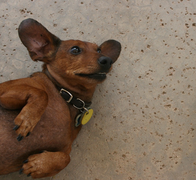 [Sweet%2520birthday%2520312%255B3%255D.jpg]