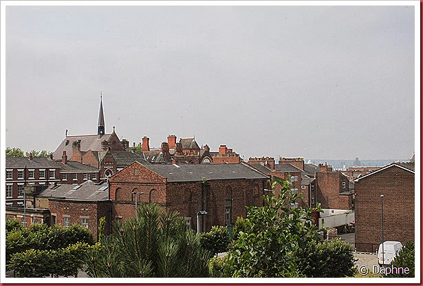 IMG_9950 IMG_9950