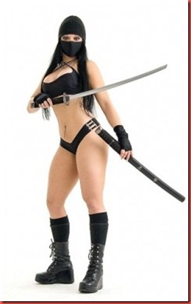 ninja or shinobi is a secret agent for bloggers ninja or shinobi is a secret agent for bloggers