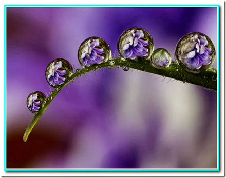 Gotas de civilidade Gotas de civilidade
